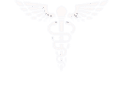 Logo white